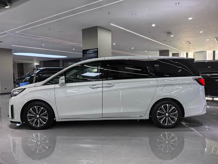 Фото 3 - Buick GL8 ES