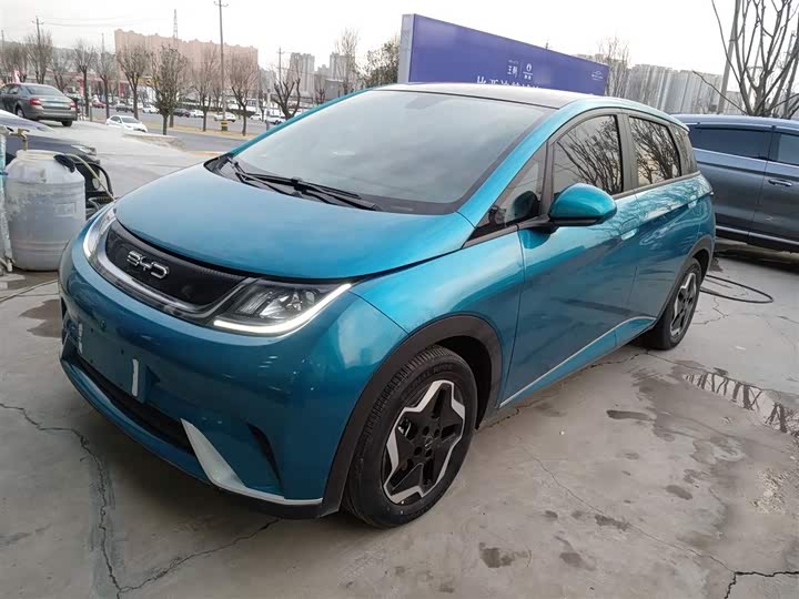 Фото 2 - BYD Dolphin