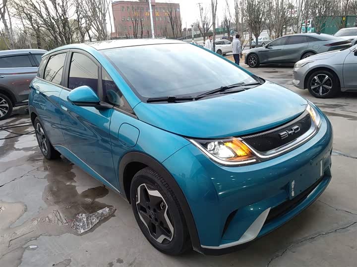 Фото 4 - BYD Dolphin