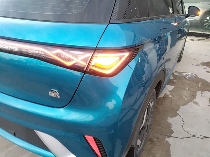 Фото 8 - BYD Dolphin