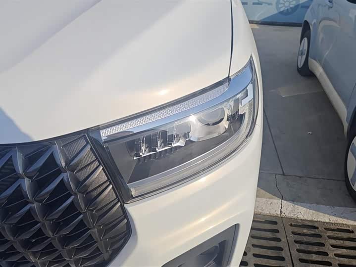 Фото 5 - Great Wall Pao