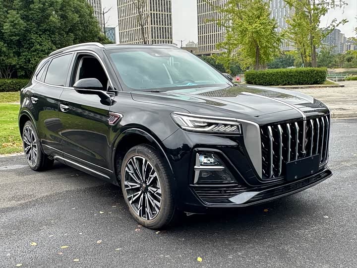 Фото 2 - Hongqi HS5