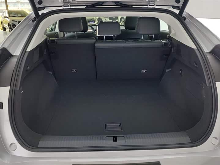 Фото 4 - XPeng G6