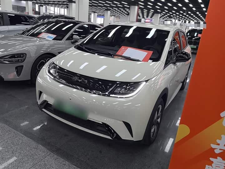 Фото 1 - BYD Dolphin