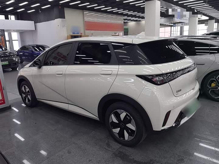 Фото 5 - BYD Dolphin