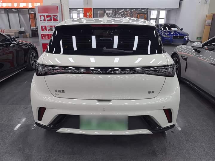 Фото 6 - BYD Dolphin