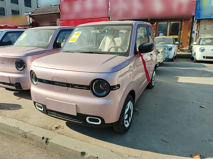 Фото 2 - Geely Galaxy Panda Mini