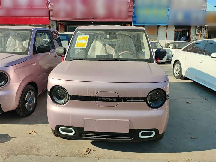 Фото 3 - Geely Galaxy Panda Mini