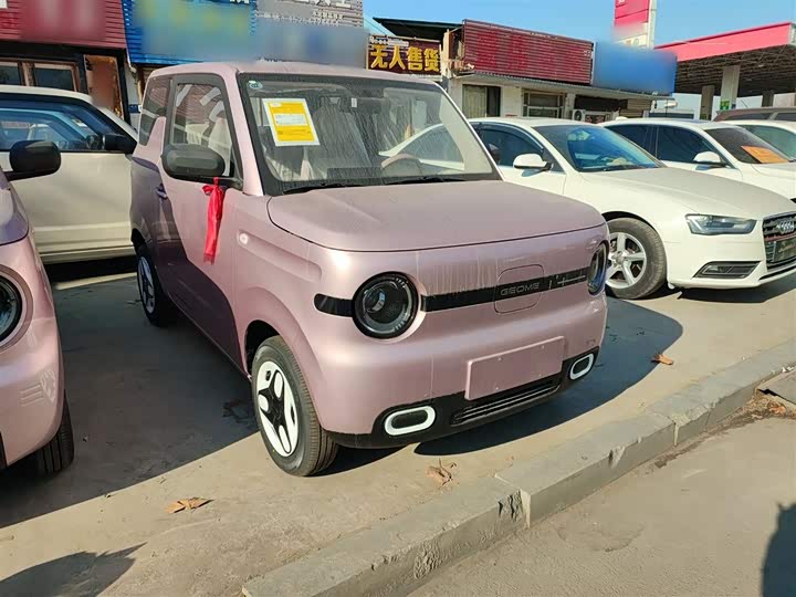 Фото 4 - Geely Galaxy Panda Mini