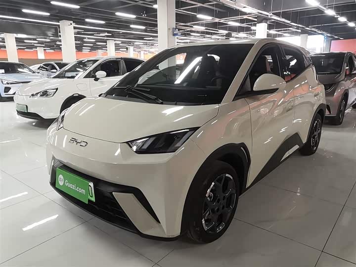 Фото 2 - BYD Seagull