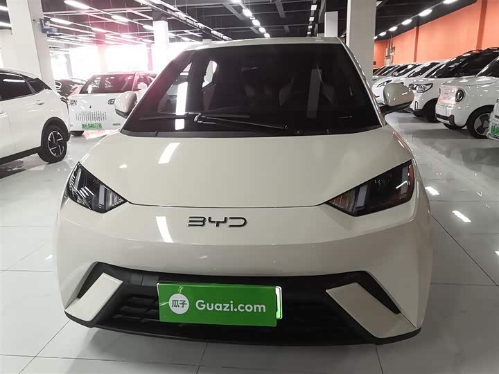 Фото 3 - BYD Seagull