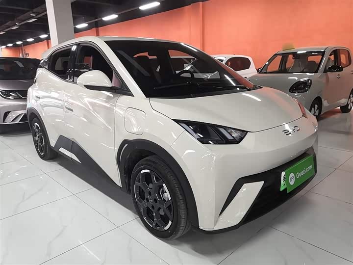 Фото 4 - BYD Seagull