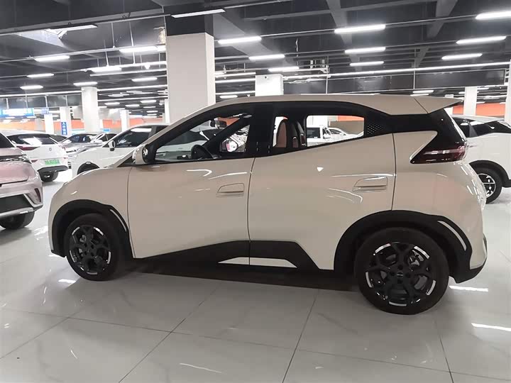 Фото 5 - BYD Seagull