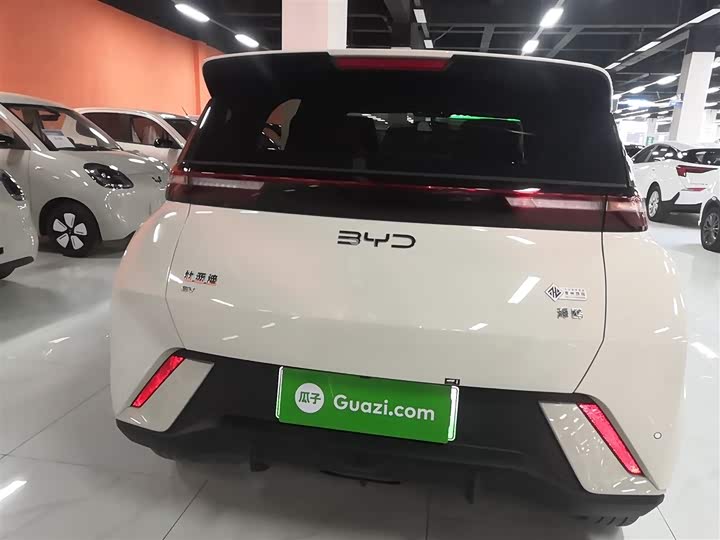 Фото 6 - BYD Seagull