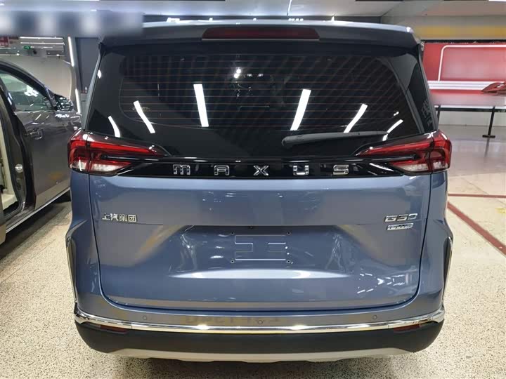 Фото 6 - Maxus G50