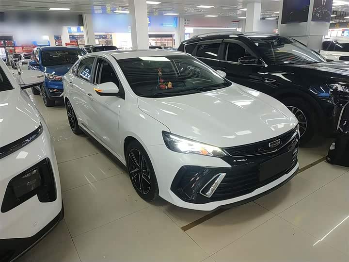 Фото 4 - Geely Binrui