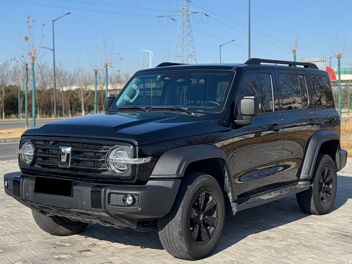 Фото 2 - Tank 300