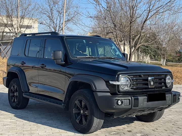 Фото 4 - Tank 300