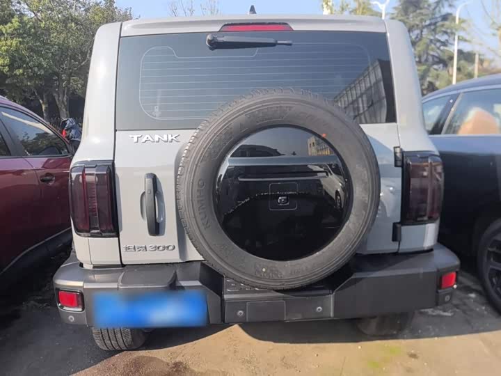 Фото 6 - Tank 300