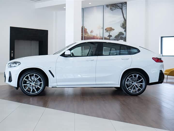 Фото 4 - BMW X4