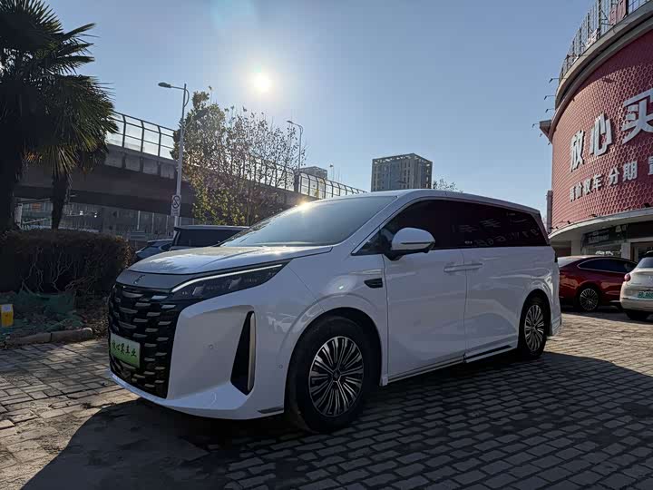 Фото 1 - BYD Xia