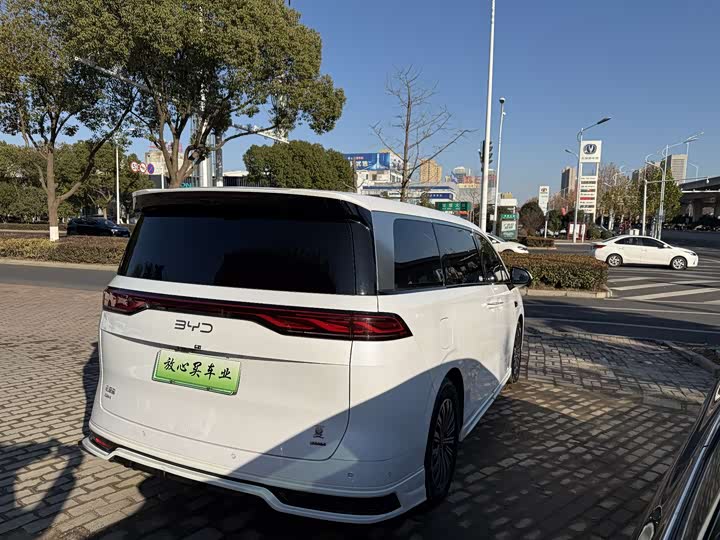 Фото 8 - BYD Xia