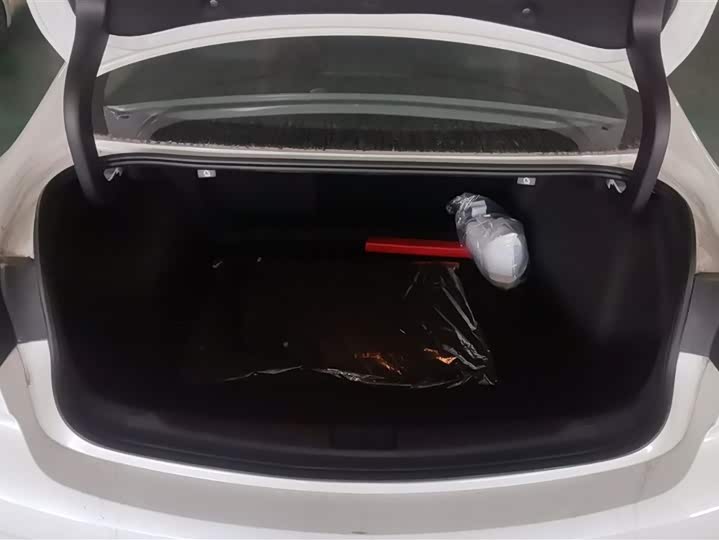 Фото 4 - Buick Regal