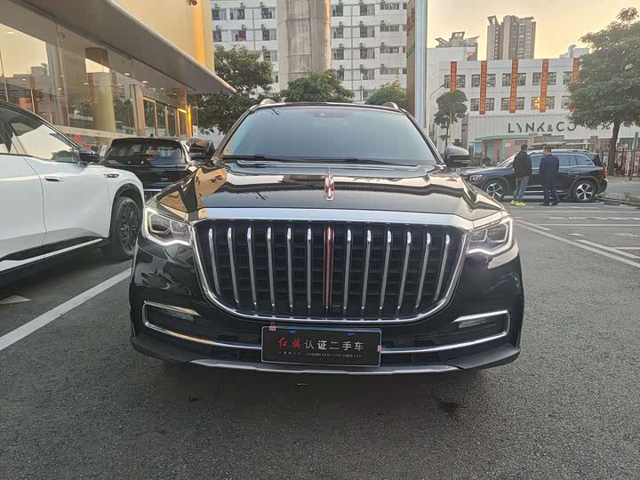 Фото 2 - Hongqi HS7