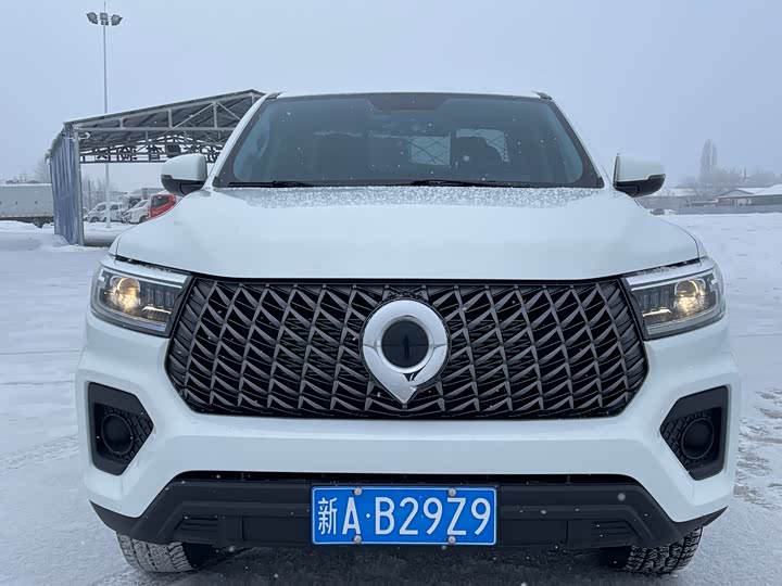 Фото 2 - Great Wall Pao