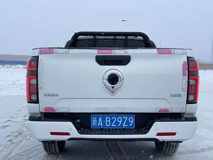 Фото 8 - Great Wall Pao