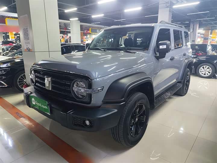 Фото 2 - Tank 300