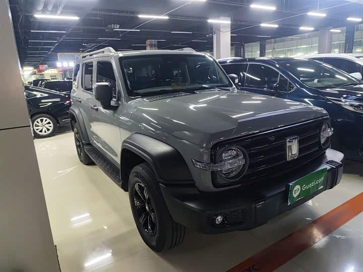 Фото 4 - Tank 300