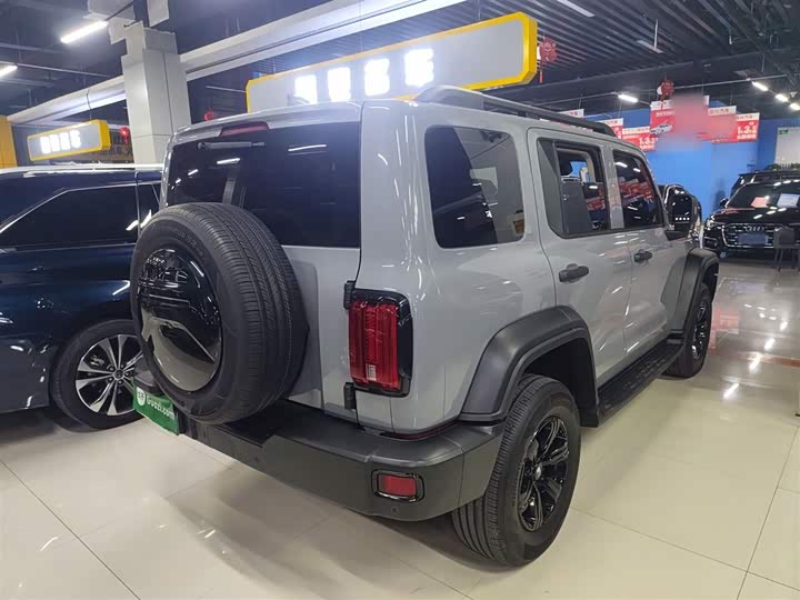 Фото 7 - Tank 300