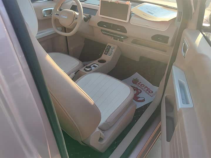 Фото 8 - Geely Galaxy Panda Mini