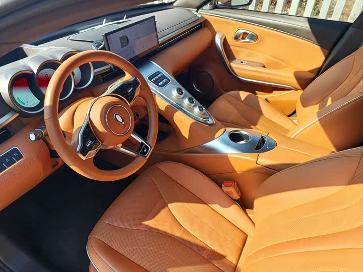 Фото 9 - Ora Lightning Cat (07)