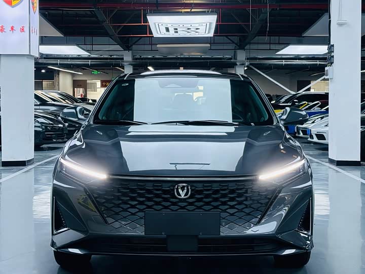 Фото 2 - Changan Raeton Plus