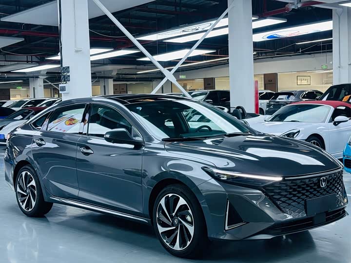 Фото 3 - Changan Raeton Plus