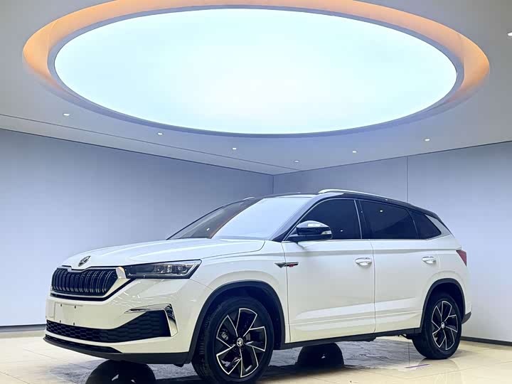 Фото 1 - Skoda Kamiq