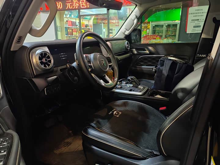 Фото 6 - Tank 300