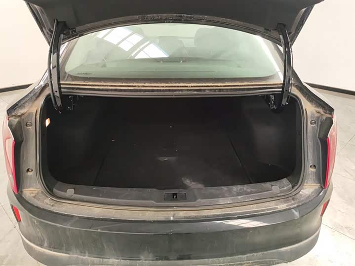 Фото 4 - Hongqi E-QM5