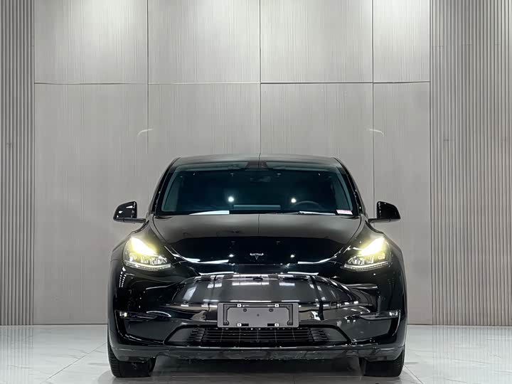 Фото 2 - Tesla Model Y