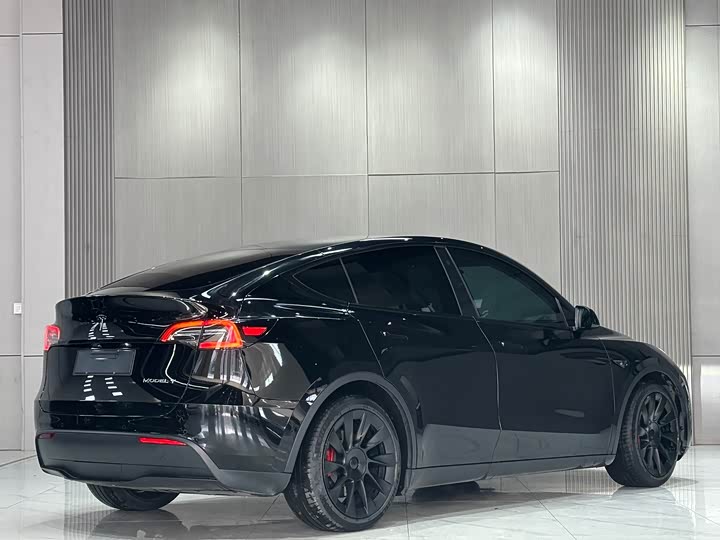 Фото 4 - Tesla Model Y