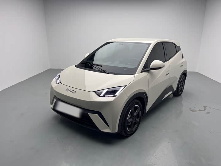 Фото 1 - BYD Seagull