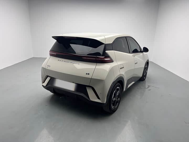 Фото 4 - BYD Seagull