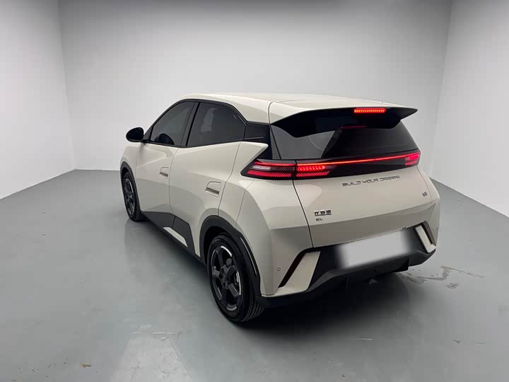 Фото 6 - BYD Seagull