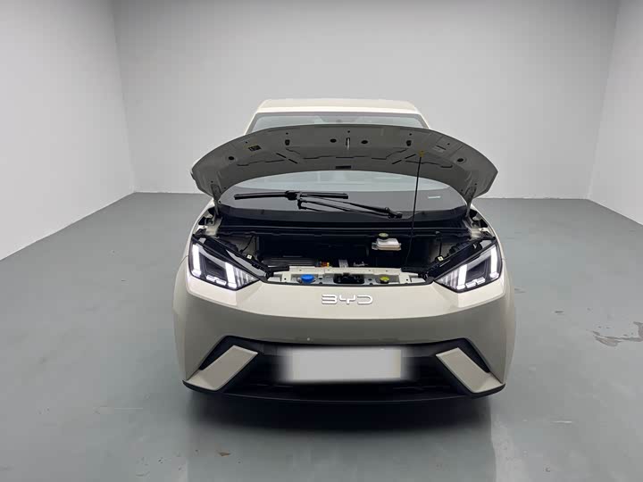 Фото 7 - BYD Seagull