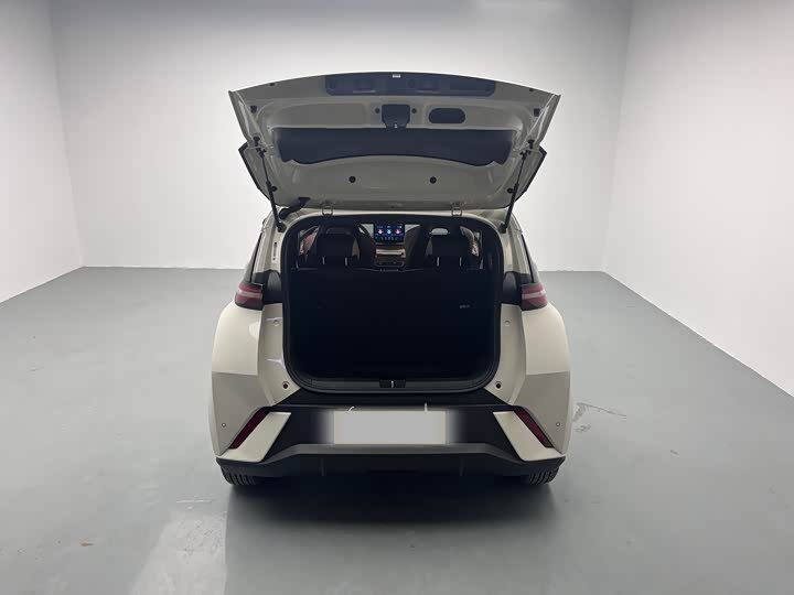 Фото 8 - BYD Seagull