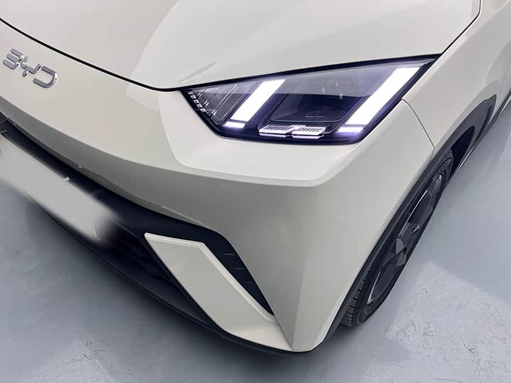 Фото 9 - BYD Seagull