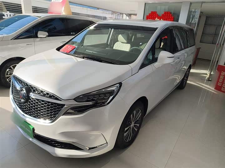 Фото 1 - Buick GL8 ES