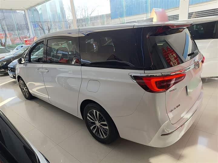 Фото 5 - Buick GL8 ES